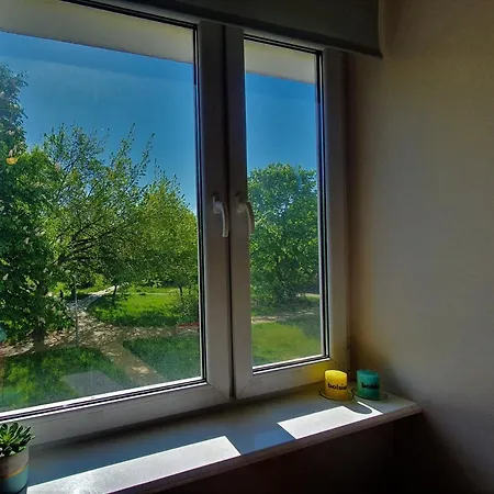 Sunshine Rooms Blue